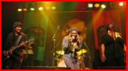 Exodus Bob Marley Tribute Band